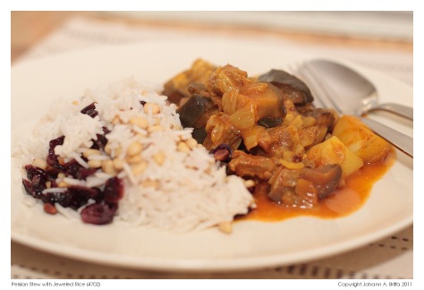 Persian-Stew-with-Jeweled-Rice-(4702)